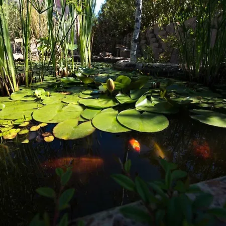 Il Melograno Country Vakantieboerderij *