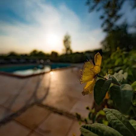 Il Melograno Country