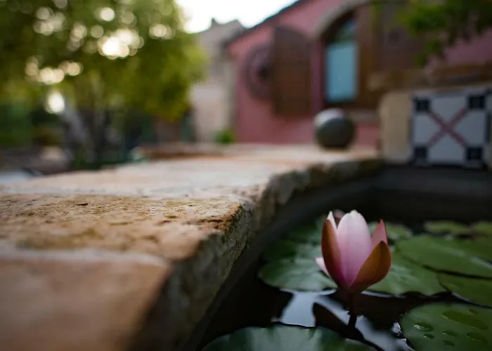 Il Melograno Country 팜스테이 *